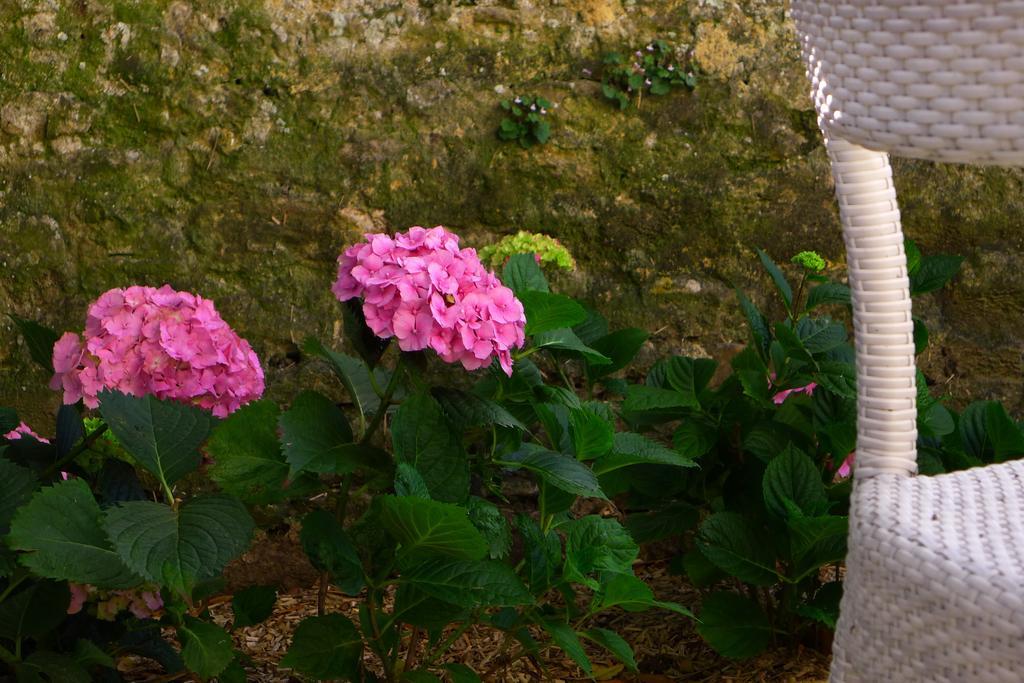 La Villa Graziella Arromanches-les-Bains Eksteriør bilde